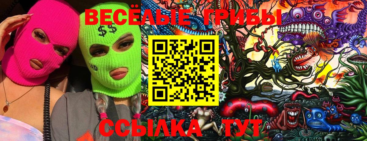 Псилоцибиновые грибы прущие грибы  Псилоцибиновые грибы MAGIC MUSHROOMS  купить наркотики цена  Касимов  Вход с VPN 